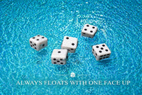 Floating Dice Set - Fair, well balanced, slow float! 5 Dice - Case - Waterproof Pad - Pencil